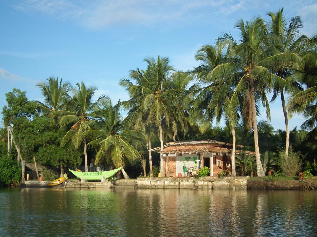 Coconut Island Villa Tangalle Exterior foto