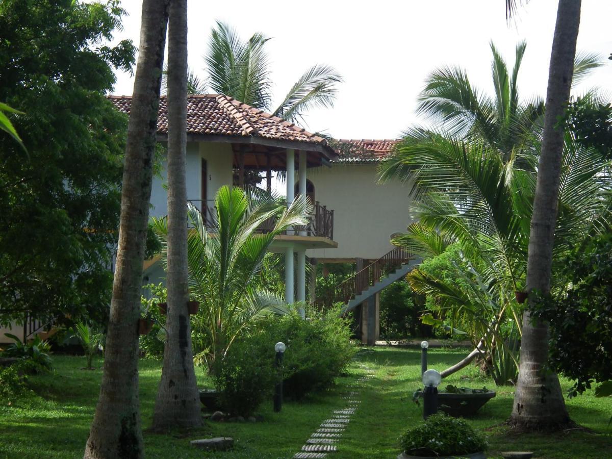 Coconut Island Villa Tangalle Exterior foto