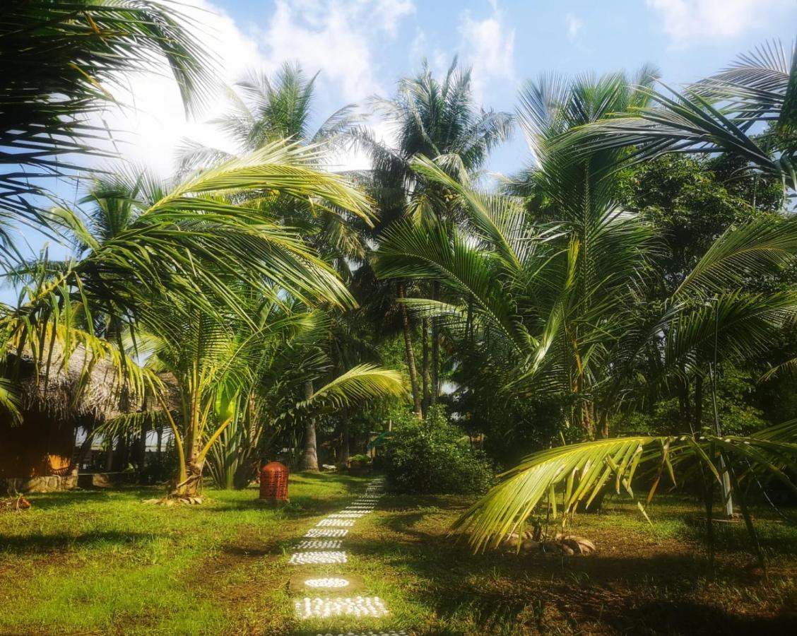 Coconut Island Villa Tangalle Exterior foto
