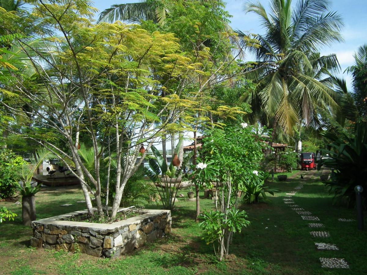 Coconut Island Villa Tangalle Exterior foto